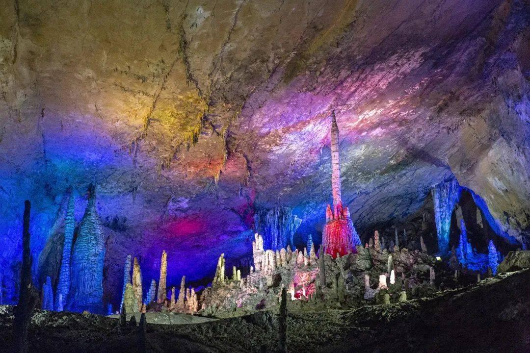 人类：一败涂地