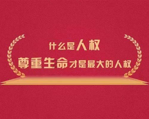失踪的书籍