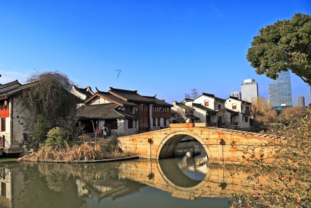 可爱小猫向上跳